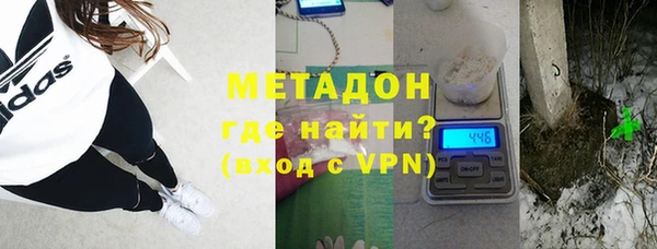 прущие грибы Абаза