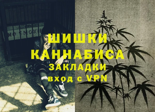 прущие грибы Абаза