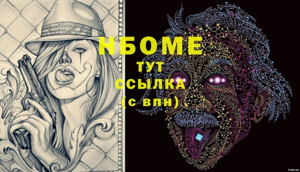 прущие грибы Абаза