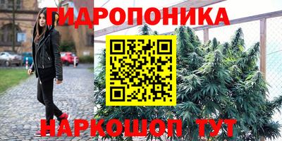 крисы Апшеронск