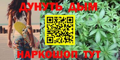 крисы Апшеронск