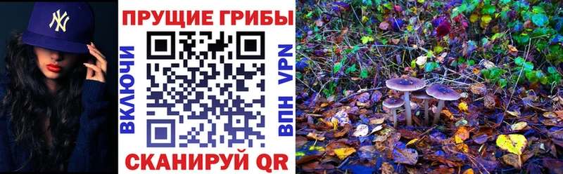 блэк спрут онион  купить закладку  Барнаул  Галлюциногенные грибы Magic Shrooms 