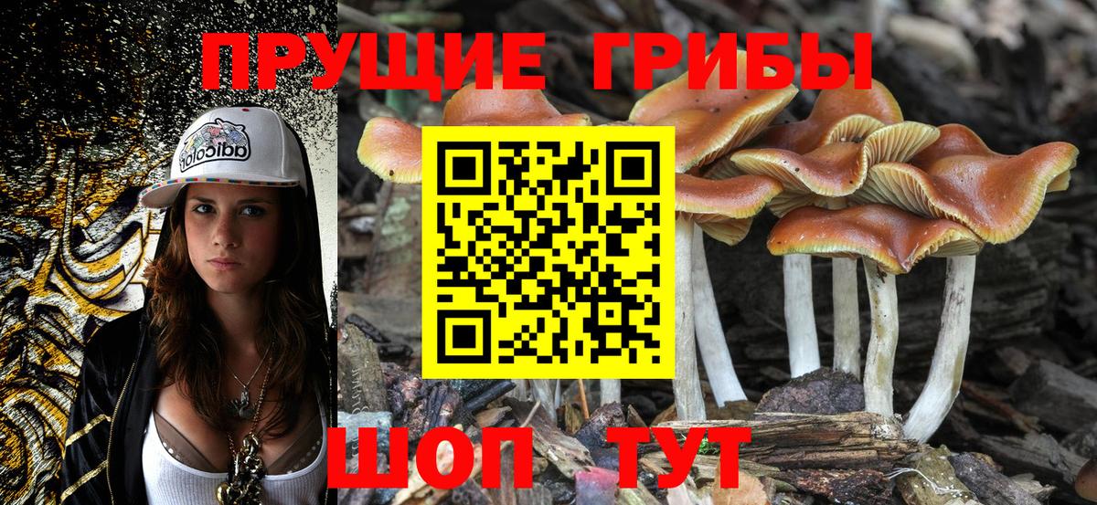 Барнаул  Галлюциногенные грибы Magic Shrooms  Вход с VPN  Галлюциногенные грибы Cubensis 